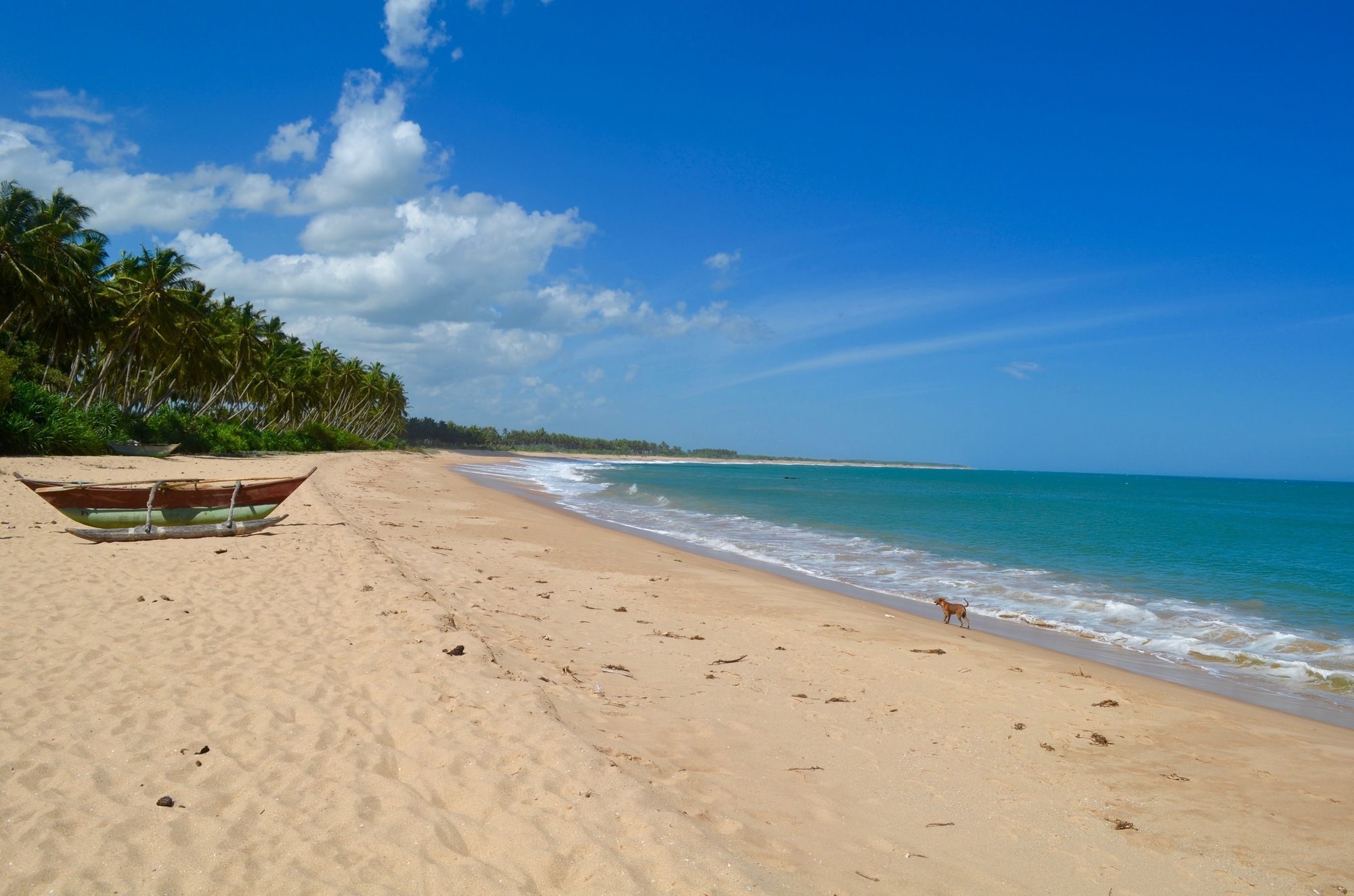 Green Parrot Beach Resort Tangalle Kültér fotó